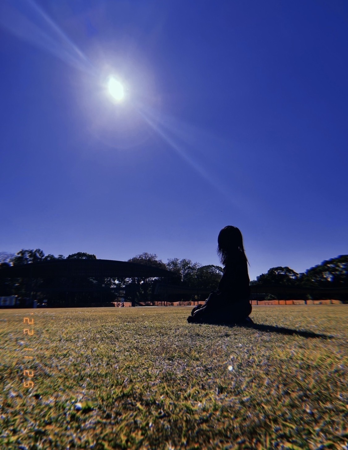 キリエのうたが公開されたよー！