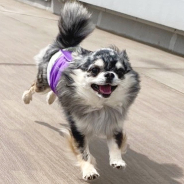 なんでもない日々のこと